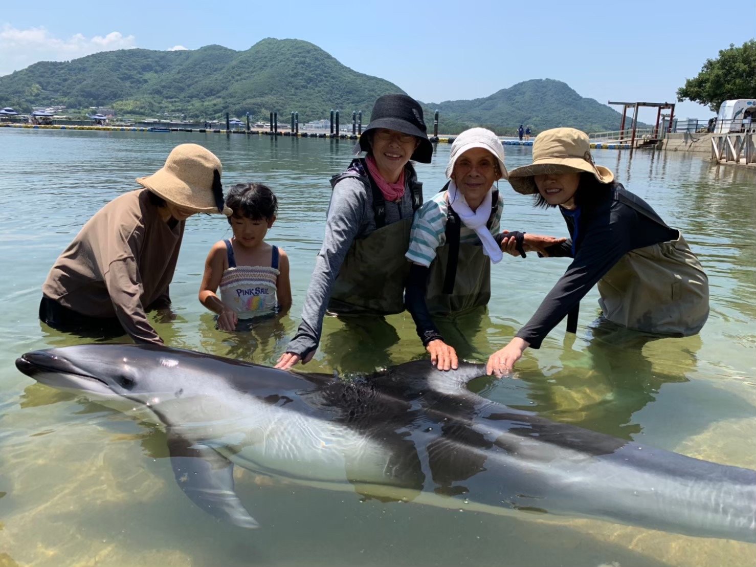 🐬 돌고래 센터(니혼도루휜센타) 이미지 7